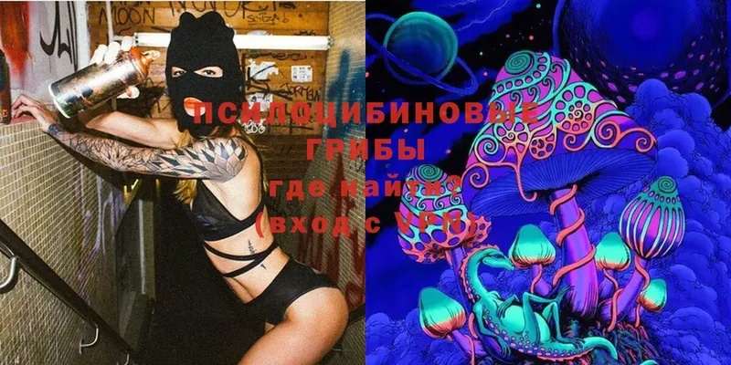 Псилоцибиновые грибы мицелий  Кирсанов 